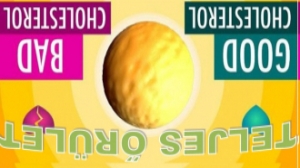 A misztikus koleszterin